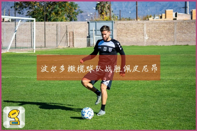 波尔多橄榄球队战胜佩皮尼昂